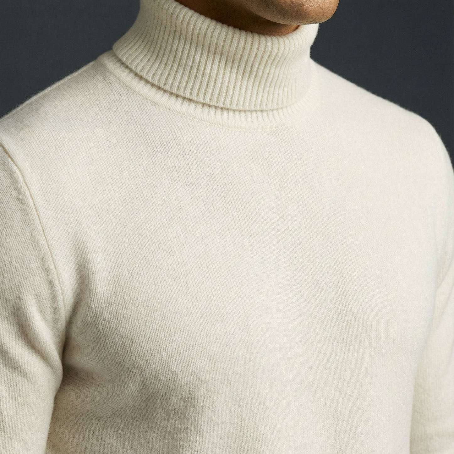 Alpine Merino Turtleneck